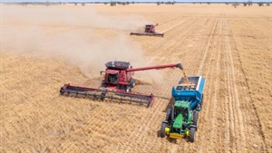 Explainer: what is basis and why does it matter right now for farmers?