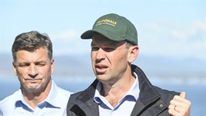 Counting the days: diesel demand fuels push for expanded storage capacity