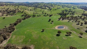 Gidgee a high rainfall South West Slopes grazing and farming opportunity