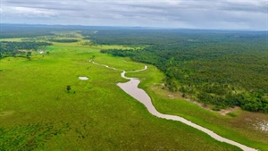 Impressive Valley of Lagoons offered with guaranteed 4000 females | Video