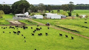 Buyers do their sums on the sale of this quality farm in the South West
