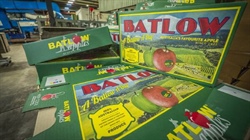 Vertically integrated Batlow and Stanthorpe apple orchards on the market