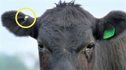 Traceability grants open as exporters face growing supply chain demands