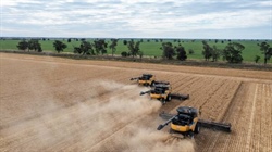 Fertiliser price relief arrives for growers, but market volatility remains