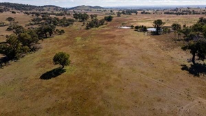 Quality livestock breeding, grazing property with upside for sale | Video