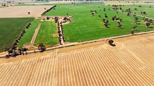 Rent tax: Payments between family farm trusts face shock hit under Labor revamp