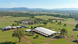 Meadow Bank delivers equine excellent on Tamworth's doorstep | Video