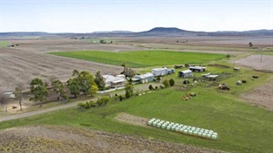 Glencoe a productive 260 acre farm with 84 meg irrigation licence | Video
