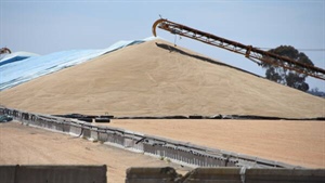 APVMA review for grain protection product with link to phased out chemistry
