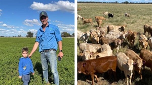 From cropping to cattle and carbon: a staged transition boosts farm's bottom line