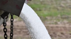 Farmers get mineralisation boost from autumn rain but N budgets stay steady