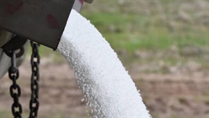 Farmers get mineralisation boost from autumn rain but N budgets stay steady