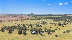 North west cattle country sold under the hammer for $1206/acre