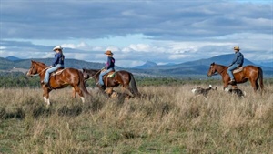 Quality country with outstanding views to the Great Dividing Range | Video