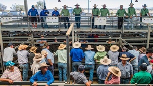 Episode 3: processor margins lift, but remain well below last year's highs