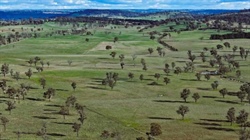 Impressive Gleneagles developed for 1000 cows and followers | Video