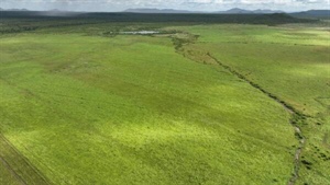 Major cattle property remains on market after being put to auction | Video