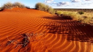 More of the nation's dry desert land added to conservation land quota