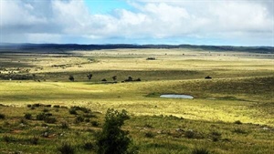 Thomas family offloads big Mid North sheep property after 48 years