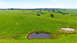 High-rainfall 115ha Mardan farm has been sold in South Gippsland