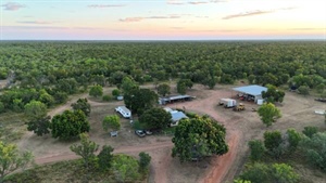 Notable large scale cattle station with 3465 head of cattle sold at auction