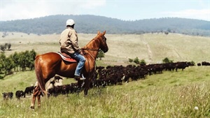 Victoria's largest cattle property sale sparks foreign ownership debate