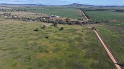 Stanley Park a successful livestock operation also well suited to farming