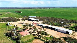 Buyer's choice | Two large cropping properties join sales market together