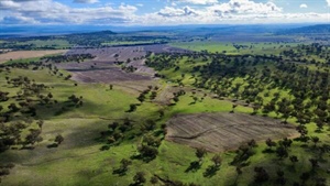 Highly productive Werribon presents as an outstanding turnkey operation