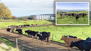 Blue ribbon Otway Milk and Gippsland dairy offer scale versus entry-level