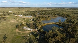 Quality central west cattle and sheep breeding property sold | Video