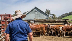 Analysis: ag's $100b target reached, but inflation moved the finish line
