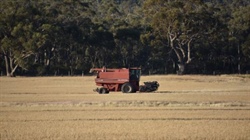 Contractors warn government visa slowdown to hit hard with harvest looming