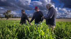 Rockvale with productive soils, outstanding water, quality improvements