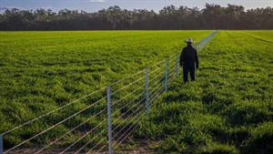 Premium river country featuring rich alluvial and red loam soils | Video