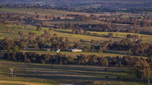 Dovers Flat delivers highly productive south west slopes country | Video