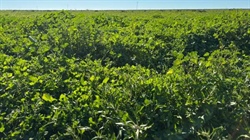 Major aggregation with an impressive 6500 acres of arable country
