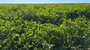 Major aggregation with an impressive 6500 acres of arable country