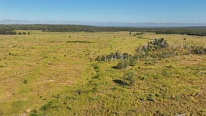 Productive 11,000 acre cattle country property sold at strong auction