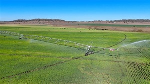 Premier asset with high-quality cultivation, irrigation, grazing | Video