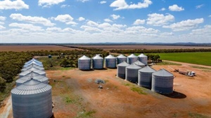 Market lessons: holding grain is not free, so here's how to do the sums