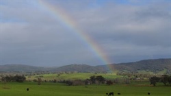 Surprise El Nino year rain helps farmers weather a record input cost storm