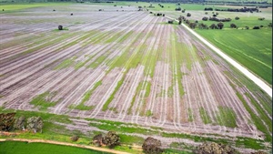 Black family parts with 348ha SA farm after 100 years