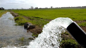 Hay powerhouse at Keith in SA boasts up to five cuts each year