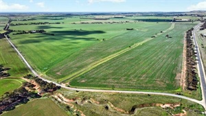 A 143ha Mid North farm block in SA attracts spirited bidding