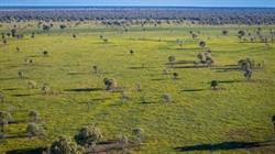 Black soil Barwon Vale presents with significant upside | Video