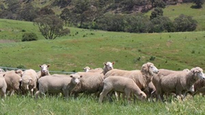 Size doesn't matter: bigger farms don't guarantee more profit or productivity