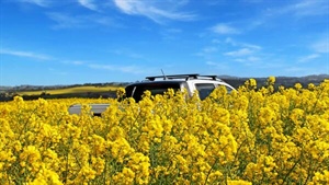 High demand drives new broadacre cropping options to the SA sales market