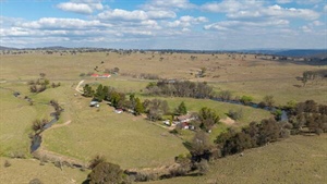 Hillgrove a proven and reliable grazing operation close to the city | Video
