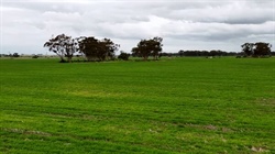 Farm sale near Melton offers AI data centre appeal to buyers